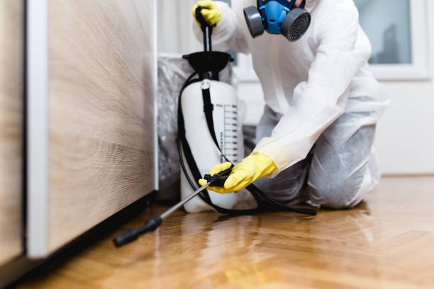 Best Commercial Pest Control Services  in Loudonville, NY