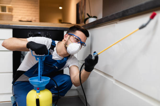 Best Termite Control Services  in Loudonville, NY