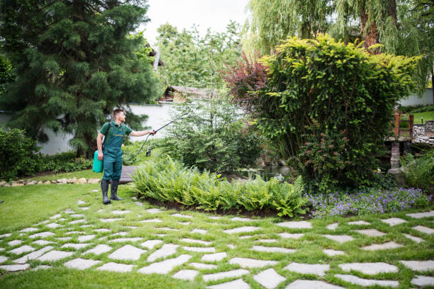 Best Local Pest Control Services  in Loudonville, NY