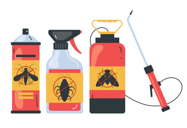 Best Wasp Removal Services  in Loudonville, NY